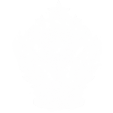 Programme Excellence