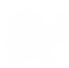 Our Vision